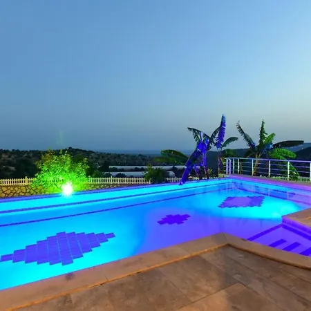 5 Star With First Class Amenities, 1004 Villa